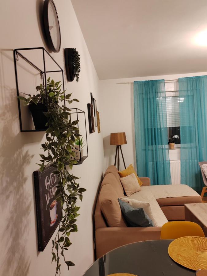 Krstic_Lux Apartman 苏博蒂察 外观 照片