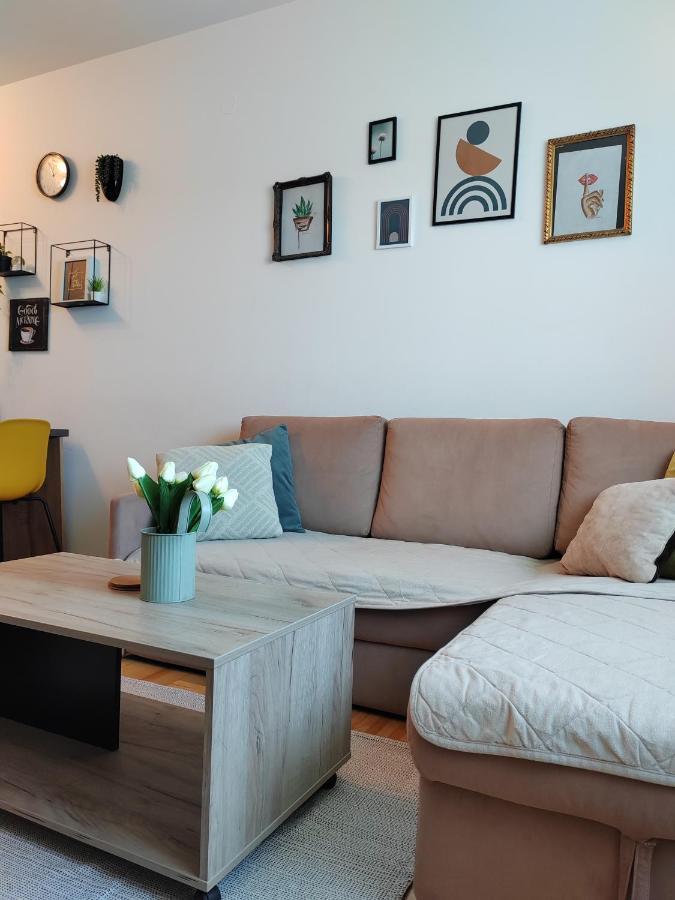 Krstic_Lux Apartman 苏博蒂察 外观 照片